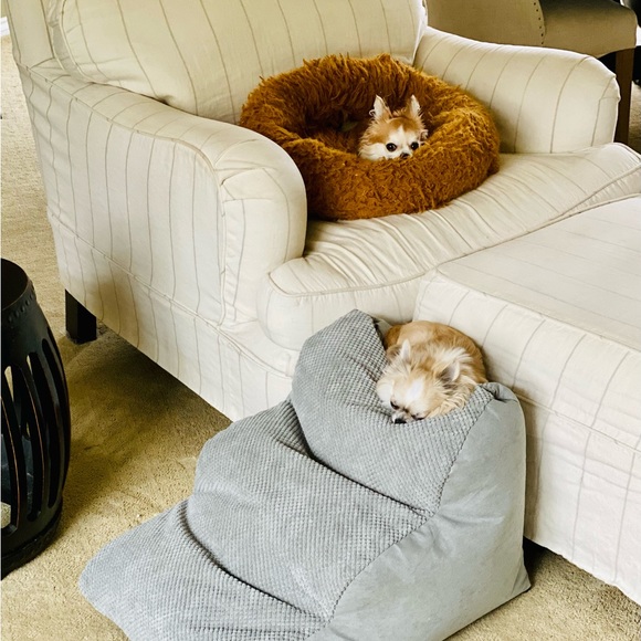 Best Orthopedic Micro Bead small Pet stairs - Picture 2 of 9